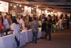 En la degustación de la Fiesta Provincial de la Flor de la Vid participarán 20 bodegas de San Rafael Foto: MDZ