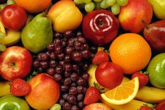 Foto: Publicada por clubdarwin.net