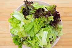 La lechuga es utilizada en varias recetas de ensaladas Foto: Shutterstock