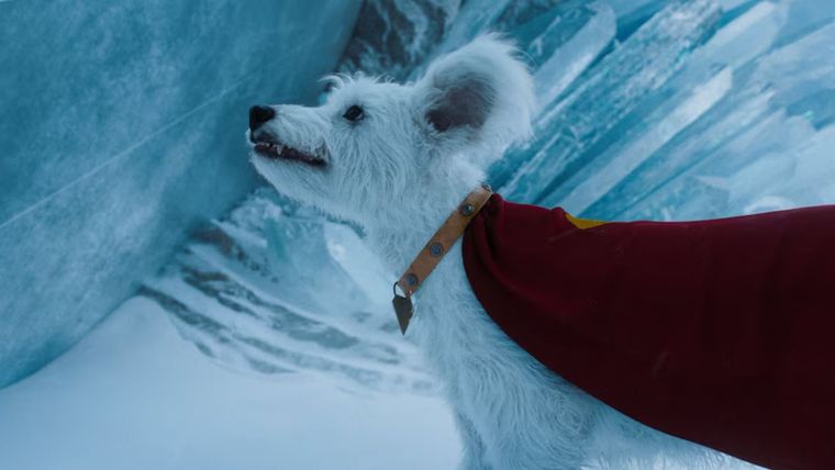 Krypto en la última película de Superman. Krypto en la última película de Superman.