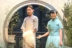 El material original pertenece a la colección de la Universidad de Carolina del Sur (EE.UU.) Foto: RT El material original pertenece a la colección de la Universidad de Carolina del Sur (EE.UU.) Foto: RT