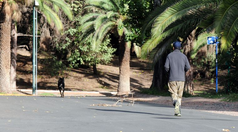 Foto: ALF PONCE / MDZ