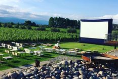 ¡No te pierdas el ciclo Vino el cine!