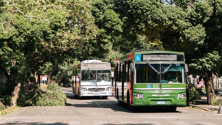 El viento Zonda nos obliga a manejar tomando ciertos recaudos Foto: Santiago Tagua/MDZ