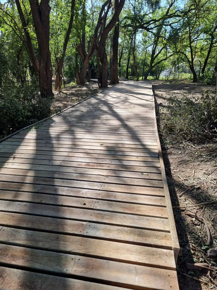 Pasarela del Parque San Martín construida con plástico reciclado. Pasarela del Parque San Martín construida con plástico reciclado.