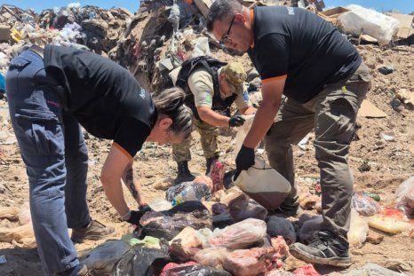 Policías y bromatólogos secuestraron y luego destruyeron la carne y otros productos en mal estado. Policías y bromatólogos secuestraron y luego destruyeron la carne y otros productos en mal estado.