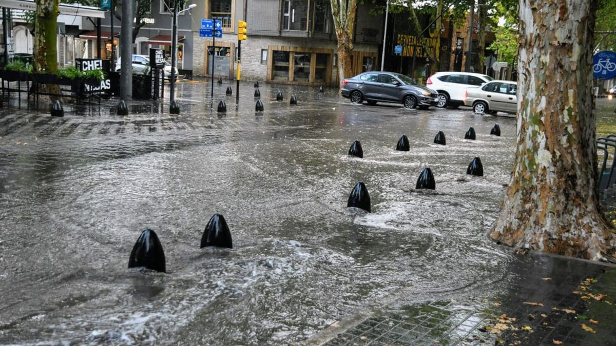 Tormenta de Santa Rosa en Mendoza: Defensa Civil dio consejos para circular con precaución y evitar accidentes