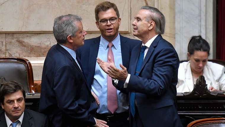 Dip} Hacemos Coalición Federal sufrirá una leve fractura en la votación. Crédito: Télam Foto: Télam