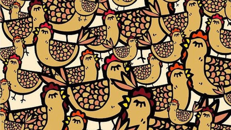 Acertijo visual, reto visual, guante de goma Pinterest