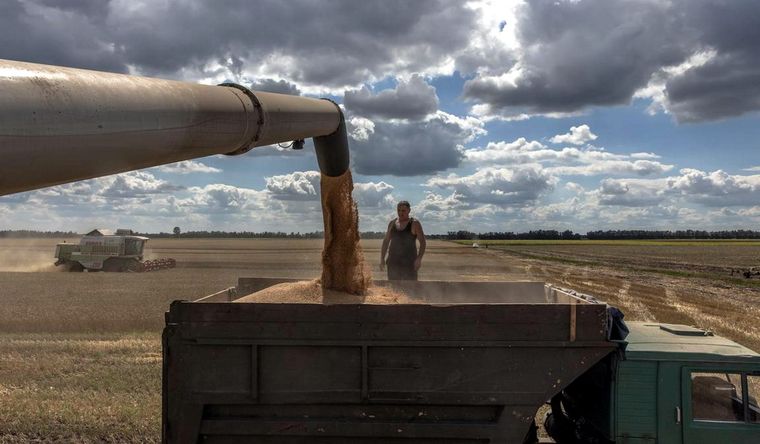 grano ucraniano El grano ucraniano, por ahora, no podrá salir del país. Foto: Efe.
