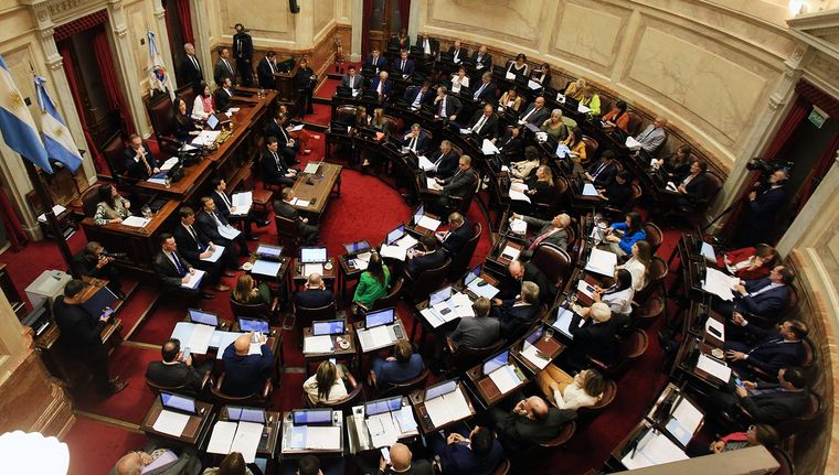 Cámara de Senadores. Foto: NA