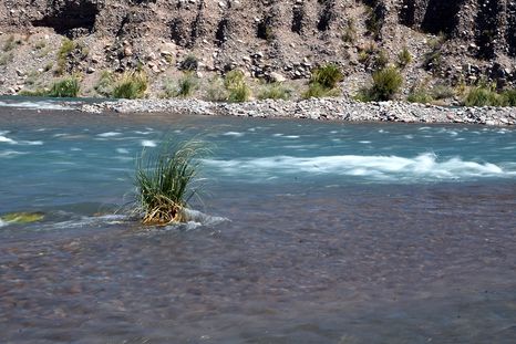 el agua no es un tema ambiental, es una decision de desarrollo el agua no es un tema ambiental, es una decision de desarrollo