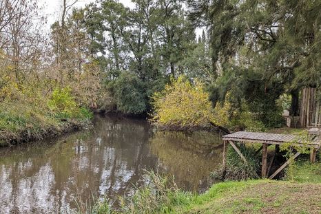 El disparo ingresó a la altura del omóplato, aunque no habría comprometido órganos vitales, según los primeros reportes médicos. El disparo ingresó a la altura del omóplato, aunque no habría comprometido órganos vitales, según los primeros reportes médicos.