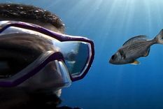 El autor del estudio, Maëlan Tomasek, con un “voluntario” en el experimento realizado en el mar Mediterráneo. Foto: Dpa.