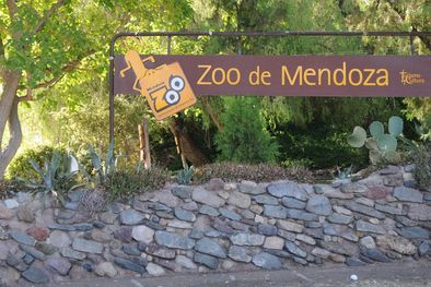 MDZol | Foto: Pachy Reynoso/MDZ