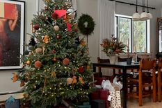 Los árboles de navidad&nbsp;siempre están en el centro de los recuerdos navideños.&nbsp;Créditos: Becky Shea