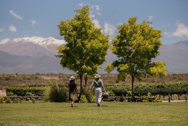 La Isabel Estate, ubicada a 1.400 msnm en Gualtallary, Valle de Uco. La Isabel Estate, ubicada a 1.400 msnm en Gualtallary, Valle de Uco.