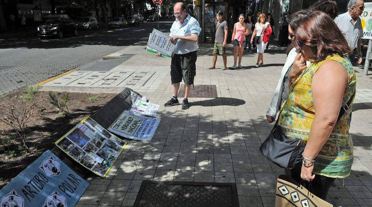 Foto: Pachy Reynoso/MDZ