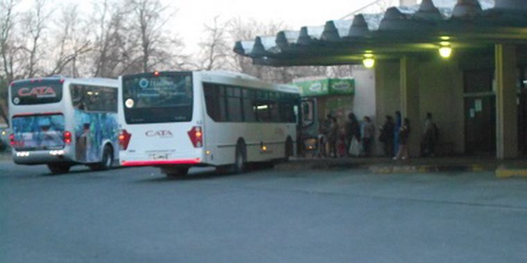 Foto: Gentileza El Cuco Digital