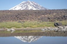 Foto: Ulises Naranjo.