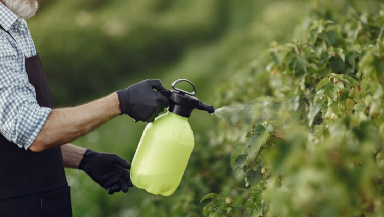 fertilizante El fertilizante orgánico para las plantas Foto: Fuente: Freepik