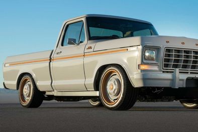 MDZol | Ford F-100 Eluminator