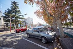 Foto: Municipalidad de Las Heras.