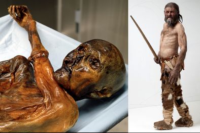 MDZol | Foto: trumbl.com