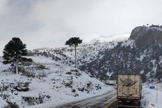 Desde Aprocam se mostraron molestos por la demora en Neuquén tras el cierre del Paso Cristo Redentor. Foto: Aprocam Desde Aprocam se mostraron molestos por la demora en Neuquén tras el cierre del Paso Cristo Redentor. Foto: Aprocam
