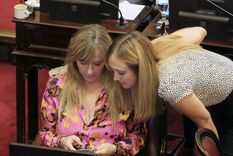 Las senadoras Anabel Fernández Sagasti y Juliana di Tullio Foto: NA Las senadoras Anabel Fernández Sagasti y Juliana di Tullio Foto: NA