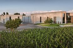 Viña Cobos renueva su portfolio. Viña Cobos renueva su portfolio.