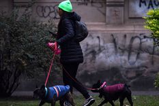 La mínima será de 3° y la máxima de 15°, con cielo parcialmente nublado.