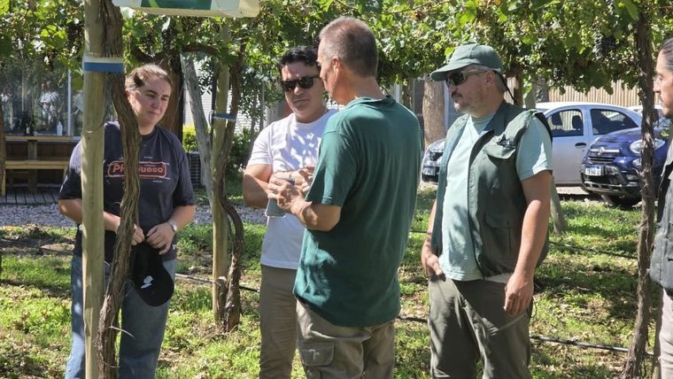 Trampas inteligentes y aprendizaje automático: así funciona el nuevo sistema del Iscamen para cuidar los cultivos y optimizar decisiones en el campo. Trampas inteligentes y aprendizaje automático: así funciona el nuevo sistema del Iscamen para cuidar los cultivos y optimizar decisiones en el campo.