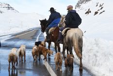 El pronóstico del jueves en Mendoza incluye alertas por viento y nieve en zonas cordilleranas, informó el Servicio Meteorológico Nacional.