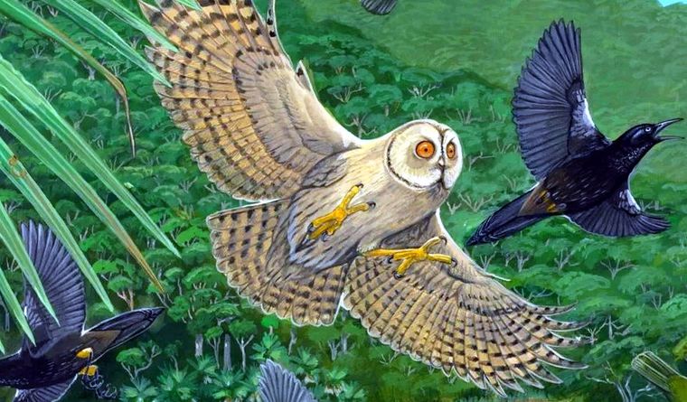 Los seres humanos provocan grandes daños en el mundo. Foto: Dpa.