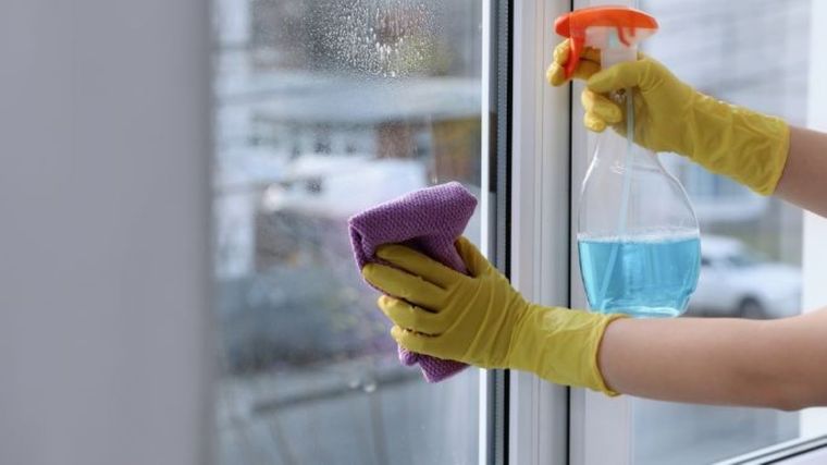 Con este truco dejarás tus ventanas relucientes Foto: Shutterstock
