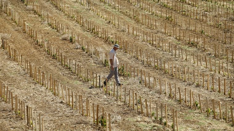 Según señaló Cristián Russo, la falta de agua es la mayor en estos últimos 30 años en el país. Foto: Efe.