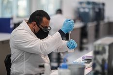 Argentina ya produjo 12 millones de dosis de la vacuna de Oxford y ahora quiere fabricar la Sputnik Argentina ya produjo 12 millones de dosis de la vacuna de Oxford y ahora quiere fabricar la Sputnik