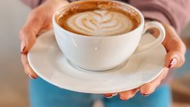 La formación combina teoría y práctica, con acompañamiento de especialistas. La formación combina teoría y práctica, con acompañamiento de especialistas.