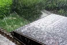 Foto: shutterstock.com