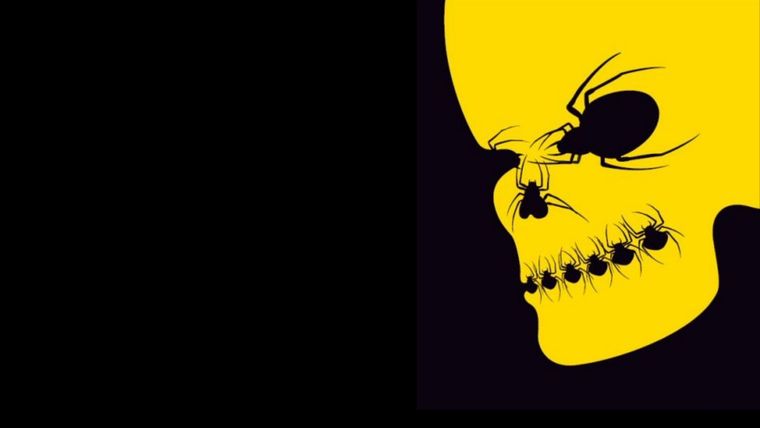 Test de personalidad Foto: Pinterest