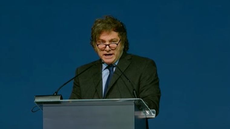 El presidente Javier Milei ya firmó los vetos. Foto: Captura