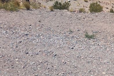 MDZol | Vuelco en Alta Montaña. Foto: Ministerio de Seguridad