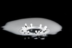 motivos para prescindir de la leche