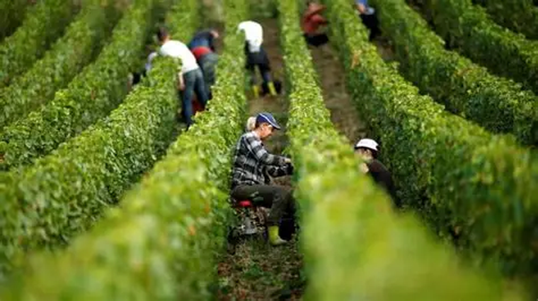 La medida tiene impacto inmediato en el frente cambiario y responde a la necesidad de estabilizar expectativas. La medida tiene impacto inmediato en el frente cambiario y responde a la necesidad de estabilizar expectativas.
