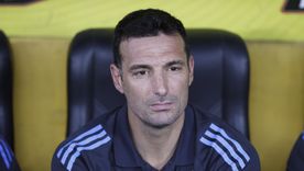 La Selección argentina tendrá un amistoso contra un combinado europeo antes del Mundial. La Selección argentina tendrá un amistoso contra un combinado europeo antes del Mundial.