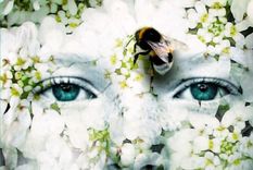 un cuento de hadas lleno de crueldad