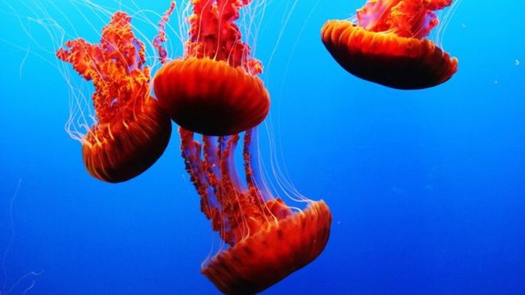 Foto: Jessica Lee/ Eyeem
