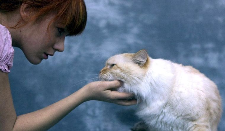 niña y gato Los seres humanos y los gatos, una relación milenaria. (imagen meramente ilustrativa) Foto: Efe.