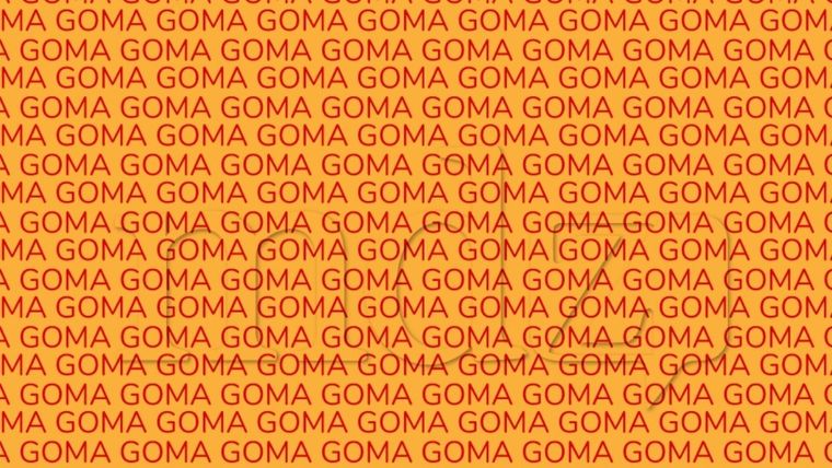 Acertijo visual, reto visual, palabra Fuente: MDZ Online